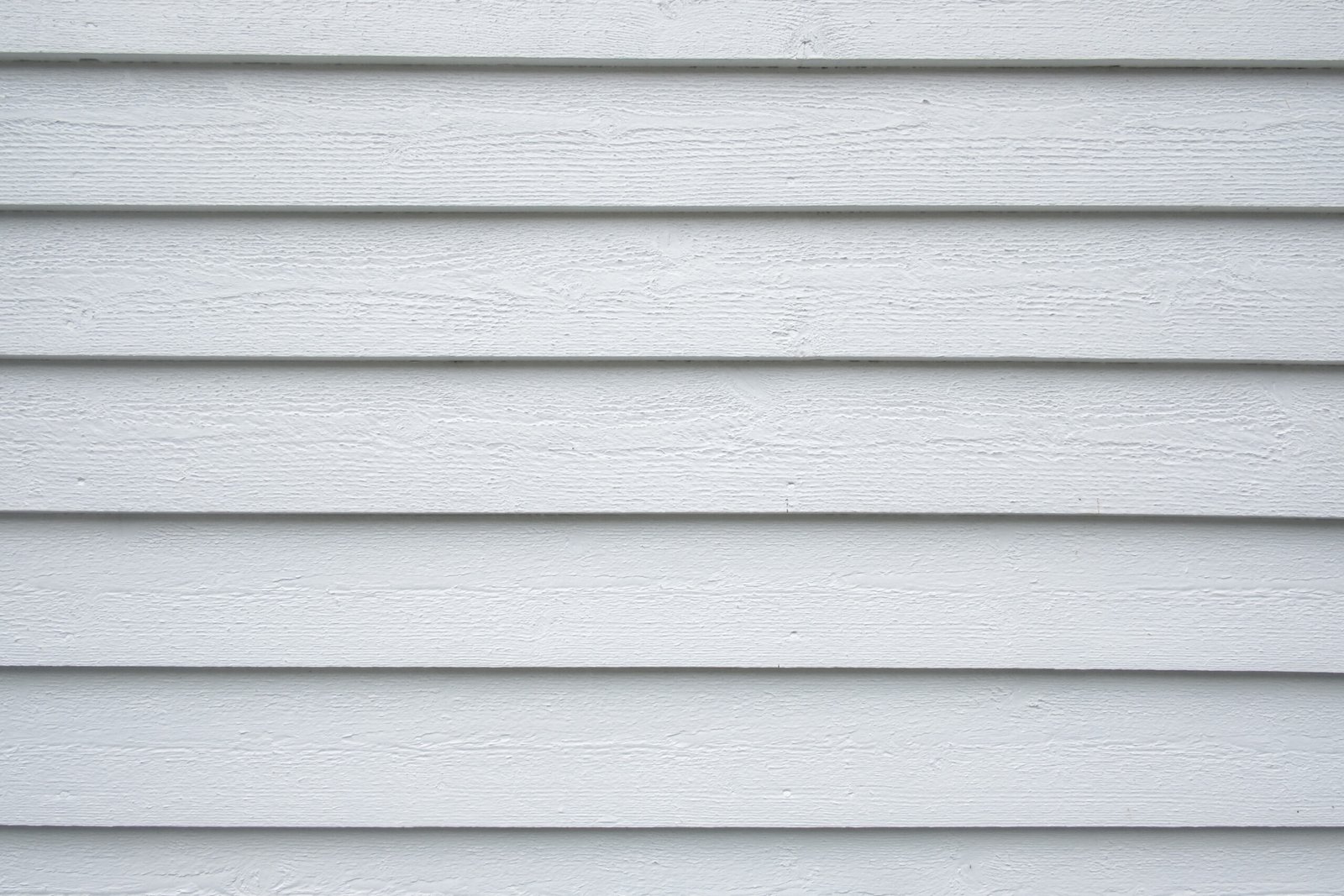 White wood texture close up. Ideal background for you projects